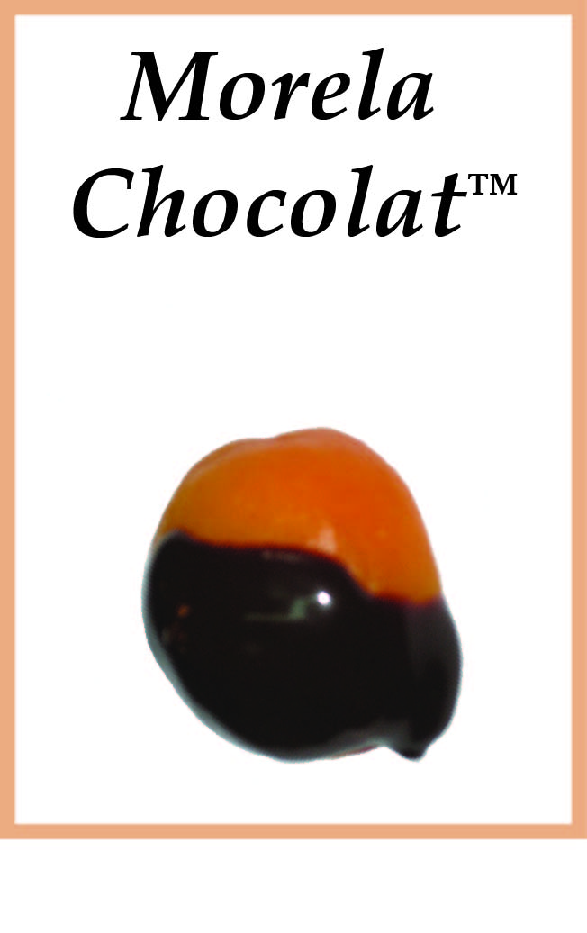 Morela Chocolat™ - Click Image to Close